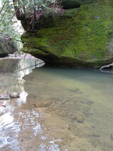 Chimney Top Creek - Koomer Ridge Trail - 1.jpg